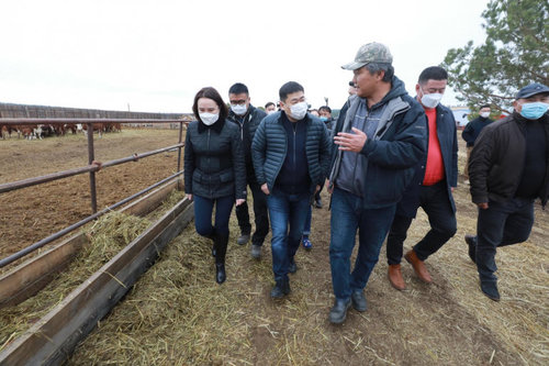 Дархан, Сэлэнгийг мал аж ахуй, газар тариалангийн эрчимжсэн бүс болгоно